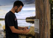 Visitantes poderão interagir virtualmente com Museu de Zoologia