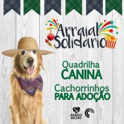 Arraial Solidário terá quadrilha canina no fim de semana