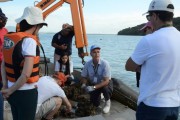 Epagri oferece curso gratuito de cultivo mecanizado de mexilh&otilde;es