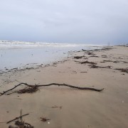 Chuva e ressaca deixam sujeiras na beira-mar de Balneário Rincão (SC)