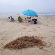 Banhistas dividem espaço na praia com a sujeira em Balneário Rincão