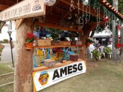 Santa Rosa de Lima &eacute; oficialmente a Capital Nacional da Meliponicultura