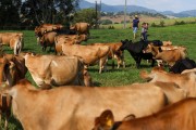 Governo do Estado inicia pagamento de projetos que fortalecem a cadeia produtiva