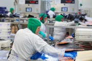 Santa Catarina tem taxa de desemprego menor do que todos os pa&iacute;ses do G7