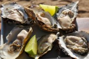 Secretaria da Agricultura anuncia a liberação de retirada e comércio de ostras em SC