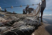 	 Coronavírus em SC: Governo do Estado autoriza a pesca de arrasto no litoral catarinense