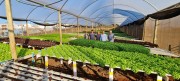 Santa Catarina visa expandir o modelo de educação de agronegócio 