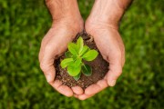 &Uacute;ltimos dias de inscri&ccedil;&otilde;es para o Selo Amigo do Meio Ambiente 2024 em Crici&uacute;ma