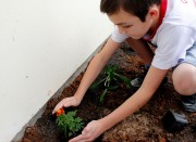 Semana do Meio Ambiente inicia nesta ter&ccedil;a-feira em Crici&uacute;ma (SC)