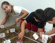 Alunos do colégio Unesc exploram o mundo arqueológico no Lapis