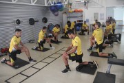 Tigre faz treinamento com atividades espec&iacute;ficas e de for&ccedil;a