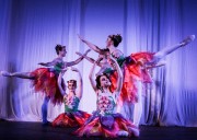 Unesc em Dança: Bailarinos e bailarinas emocionam o público