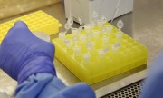 Covid-19: vacina própria da Fiocruz pode ter testes clínicos em 2021