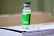 Santa Catarina recebe mais 47,5 mil doses da vacina contra a Covid-19