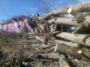 Rapidez no atendimento aos atingidos pelo “ciclone bomba” em Urussanga