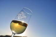 Nova Safra de vinhos Goethe ficar&aacute; para hist&oacute;ria