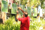 Varal e Distribuição de Mudas Marcaram a Semana do Meio Ambiente 2018 em Criciúma