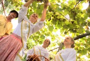 Evento enaltecerá 120 anos do cultivo da uva Goethe 