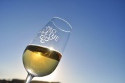 Festa do Vinho: Goethe, um produto com reconhecimento 