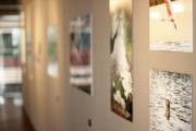 Mostra fotogr&aacute;fica &ldquo;Expedi&ccedil;&atilde;o Natureza - Tocantins&rdquo; 