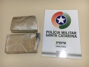 Cão da Polícia Militar encontra drogas em Criciúma