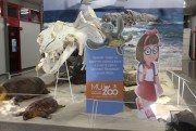 Museu deMuseu da Unesc inicia campanha de conscientização ao coronavírus com crianças