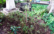 Capim Cresci&uacute;ma ser&aacute; plantado em escolas, pra&ccedil;as e parques