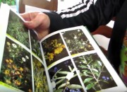 Professora elabora documentário sobre plantas medicinais 