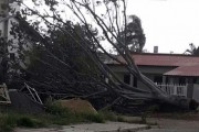 Árvore cai sobre veículo em Vila Nova devido a temporal