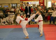 Festival de Carat&ecirc; distribui 330 medalhas para jovens de I&ccedil;ara