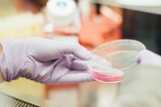 Convênio renovado garante exames de DNA gratuitos por mais 6 meses em SC