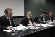 Comiss&atilde;o de Educa&ccedil;&atilde;o aprova audi&ecirc;ncia sobre os Cedups