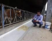 Epagri de Araranguá realiza curso de homeopatia agropecuária
