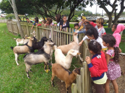 CRAS Santa Luzia visita Horto Florestal de Forquilhinha