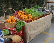 Feira de Produtos Coloniais &eacute; atra&ccedil;&atilde;o no Farol Shopping
