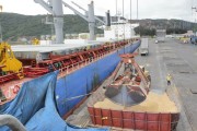 Santa Catarina inicia exportação de arroz em casca