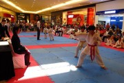 Festival de Carat&ecirc; supera 250 participantes em Crici&uacute;ma