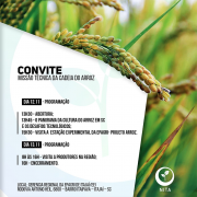 Missão técnica apresenta a cadeia produtiva do arroz aos empreendedores catarinenses