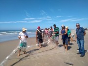 Pescadores capturam uma tonelada de tainhota