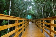 Parques estaduais s&atilde;o alternativa para quem quer fugir da folia