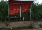  Abrigo de ônibus se esconde no mato na Vila São José