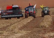 Safra brasileira deve fechar o ano com crescimento de 30,4%