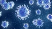 Servidores e acadêmicos da Udesc iniciam curso online sobre coronavírus (covid-19)