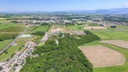 Forquilhinha comemora 28 anos nesta quarta-feira