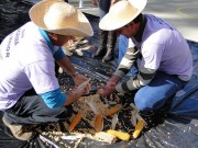 Olimp&iacute;adas Coloniais levar&atilde;o alegria &agrave; Festa Ritorno Alle Origini