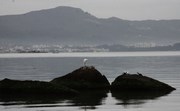 Quarta-feira come&ccedil;a com nevoeiros em Santa Catarina, mas sol deve aparecer no decorrer do dia