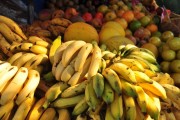 Valor Bruto da Produ&ccedil;&atilde;o Agropecu&aacute;ria deve superar R$ 28 bilh&otilde;es