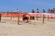 Mais de 30 equipes competem na Batalha Fitness de Ver&atilde;o