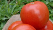 Pre&ccedil;o m&eacute;dio dos alimentos teve queda de 0,62% em outubro