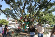 Comunidade de Maracaj&aacute; se unem para decorar a cidade